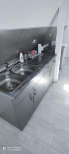 索科矿泉村Stevan Sremac的厨房配有不锈钢盥洗盆和橱柜