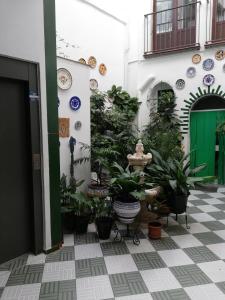 普里埃格·德·科尔多巴哈斯特利亚拉菲旅馆的种有盆栽植物的庭院和绿门