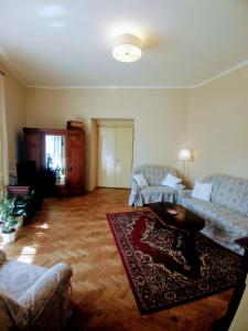 拉贝河畔罗乌德尼采Apartmán pod rozhlednou的客厅配有两张沙发和地毯。