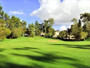 努沃勒埃利耶Stamford Star Hotel的享有一个树木林立的高尔夫球场的景色