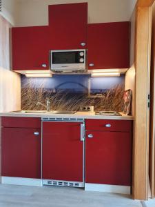 费马恩Kleine Hafenliebe的一间带红色橱柜和微波炉的厨房
