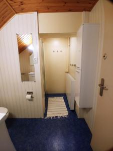 尼乌弗利特樱桃园酒店的一间带卫生间和水槽的小浴室