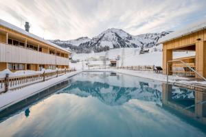 埃格Fuchsegg Eco Lodge的一座带雪覆盖山脉的度假游泳池
