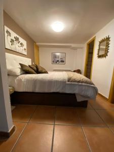 萨拉戈萨Bodega íntima的一间卧室,卧室内配有一张大床