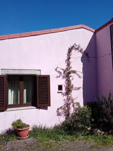 阿鲁卡Pêssego - AL的白色的建筑,有窗户和植物