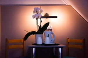 胡力公寓酒店的咖啡和沏茶工具