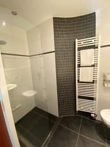 勒瑟尔弗莱彻酒店的带淋浴、卫生间和盥洗盆的浴室