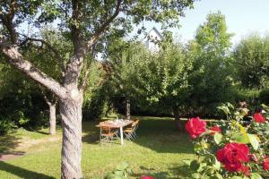 于纳维Le Verger - Maison de vacances Route des Vins的玫瑰园里桌子和一棵树