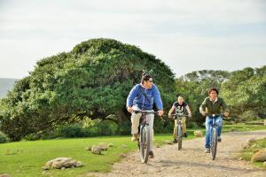 De Hoop Nature ReserveDe Hoop Collection - Campsite Rondawels的三人骑着自行车沿着土路走