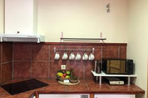 Villavieja del LozoyaTu Casa Ecuestre的厨房配有带微波炉的柜台和一碗水果