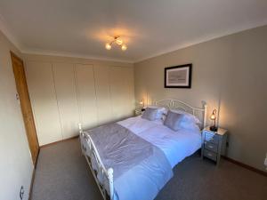 拉伊2 Regent Square的一间卧室配有一张带蓝色床单和枕头的床。