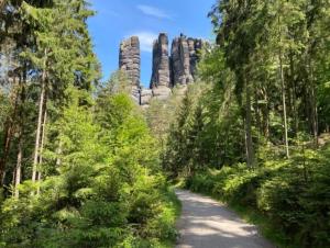 卡劳特格瑞斯赫Gohrisch Hartmann的森林中一条有岩石的路径