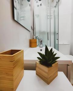 Alma Canaria Apartments & Rooms的一间浴室