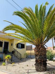 阿罗纳Vivienda Vacacional TINIZARA的房屋前的棕榈树