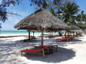 吉汶瓦Maisha Marefu Apartments的海滩上设有椅子和草伞,海洋