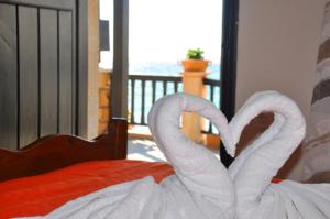 加藤扎克罗斯Coral Front Beach的两个天鹅在床上心跳