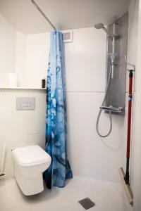 海宁Motel Poppelvej的一间带卫生间和淋浴的浴室