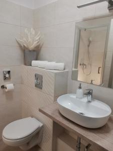 杰尔阿尔法酒店的白色的浴室设有水槽和卫生间。