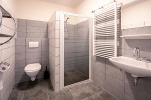 德瓦尔Nieuwlanderweg 57的浴室配有卫生间、盥洗盆和淋浴。