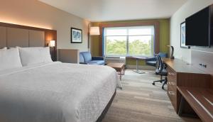 多拉Holiday Inn Express Doral Miami, an IHG Hotel的酒店客房配有一张床、一张书桌和一台电视。