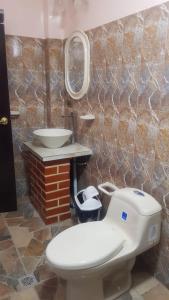 乌尤尼Asian House的一间带卫生间、水槽和镜子的浴室