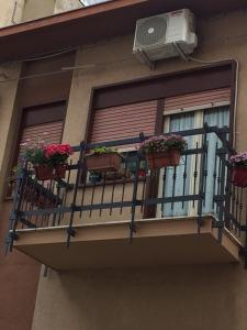 CampofrancoFontana Di Li Rosi的阳台,种植了3种盆栽植物,配有空调