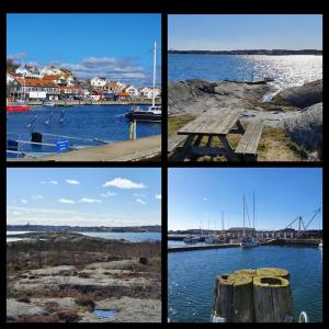 SkarvikSkärgårdsidyll på Björkö med gångavstånd till havet的一群有船的港口的四张照片