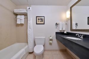 麦迪逊麦迪逊美国中心假日酒店的浴室配有卫生间、浴缸和水槽。
