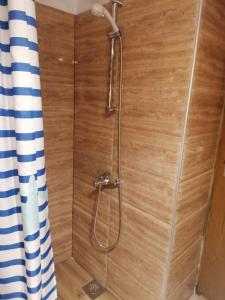 新瓦罗什Vikendica Ines的带淋浴和浴帘的浴室