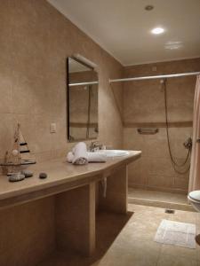 米尔托斯Myrthe Apartments的一间带水槽和淋浴的浴室