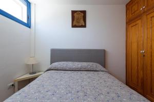 阿格特Seaside Villa - Agaete的一间卧室配有一张带蓝色棉被的床