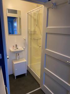 迪温特ANdesluis的带淋浴和盥洗盆的浴室