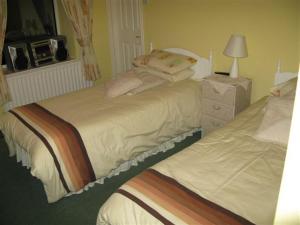Murrisk阿基尔景观住宿加早餐旅馆的卧室设有两张单人床和一盏灯