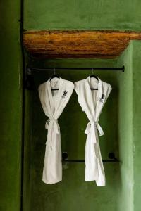 瓦哈卡市Pug Seal Oaxaca的两扇挂在绿色墙上的白色窗帘