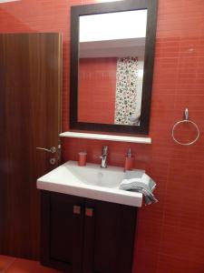 尼基季Palm House Nikiti - Apartments Vicky的浴室设有白色水槽和镜子