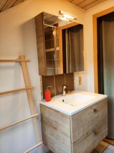 塞尔方丹Lacs de l'eau d'heure Chez Oma的一间带水槽和镜子的浴室