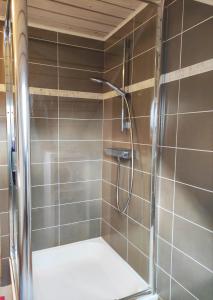 塞尔方丹Lacs de l'eau d'heure Chez Oma的浴室铺有棕色瓷砖,设有淋浴。
