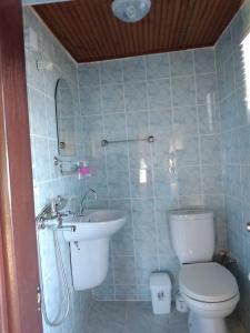 阿克恰科贾Deniz Yıldızı Pansiyon的一间带卫生间和水槽的浴室
