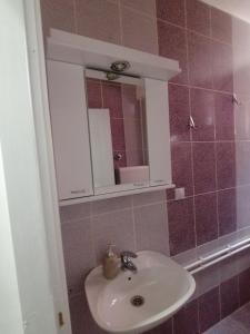 索科矿泉村Apartman Marko的一间带水槽和镜子的浴室