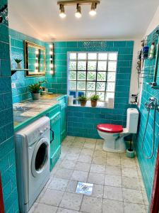 DiskahegyBohemian weekendhouse at lake Balaton的蓝色的浴室设有洗衣机和卫生间。
