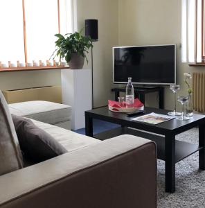 HildersRhönZeit Apartements und Zimmer的客厅配有沙发和带电视的桌子