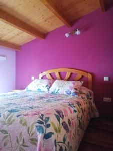 阿维拉Dúplex Vallespín的一间卧室配有一张紫色墙壁的床