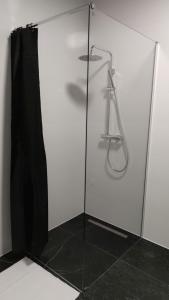 Sępólno KrajeńskieHotel ANTARES的带淋浴的浴室和玻璃门