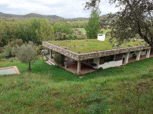 科迪加纳Vivienda Rural Olivar del Chanza的草屋顶房屋的图象