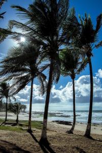 萨尔瓦多Apartamentos Itapuã Residence - Praia的沙滩上的棕榈树