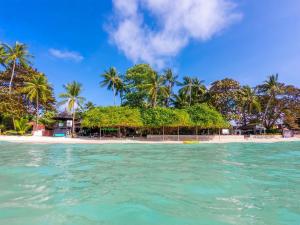 查汶Chaweng Garden Beach Resort - SHA Plus的棕榈树和海滩的海洋岛屿