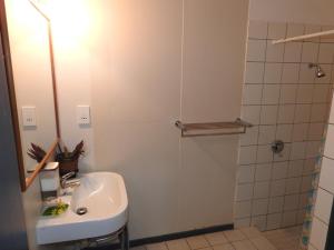 拉罗汤加阿莱曼格宾馆的白色的浴室设有水槽和淋浴。