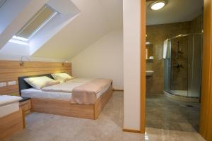斯姆勒尼科HOTEL BARON的一间卧室配有一张床,浴室设有淋浴。