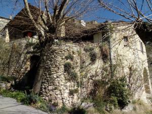 ChameGite des Gorges de l'Ardèche的房屋前方有树的石墙