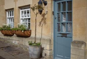 巴斯The Loft House - Beautiful House in Best Location的两株盆栽植物,在一座有蓝色门的建筑的一侧